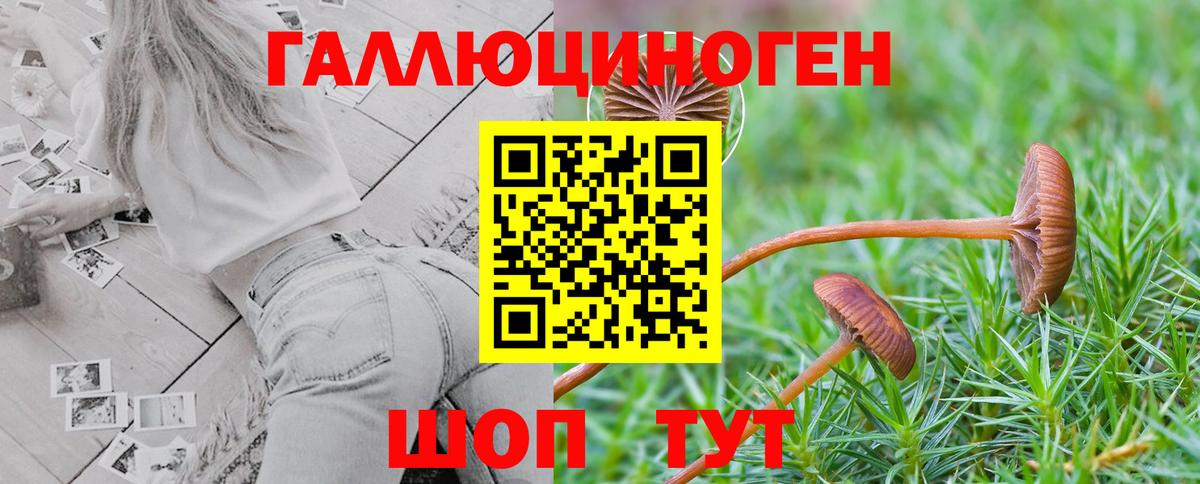 Псилоцибиновые грибы ЛСД  Вход с VPN  Павлово 